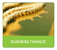 Business Finance